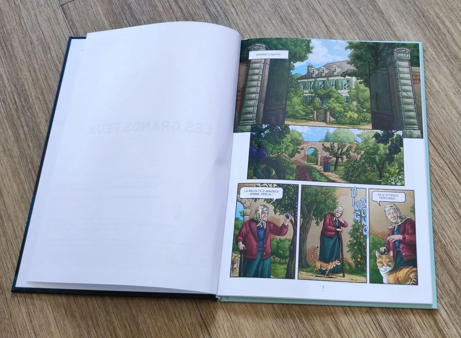 📚 BD "Los Grandes Fuegos" - Luca Malisan & Rudi Miel 📚 – photo 2